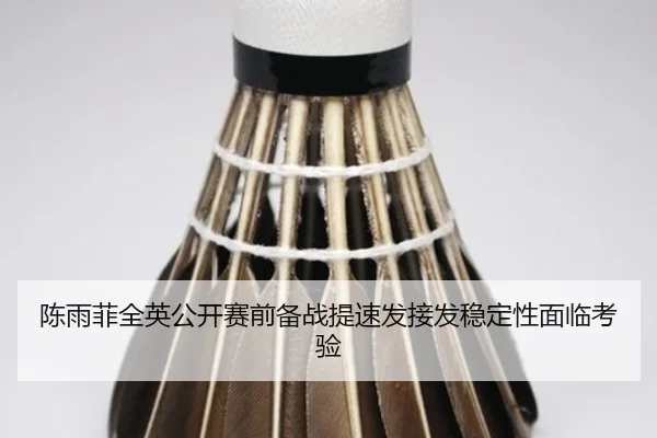 陈雨菲全英公开赛前备战提速发接发稳定性面临考验